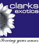 Clarks Exotica